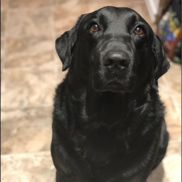 Meet your Posher, Krista - Picture 1 of 1